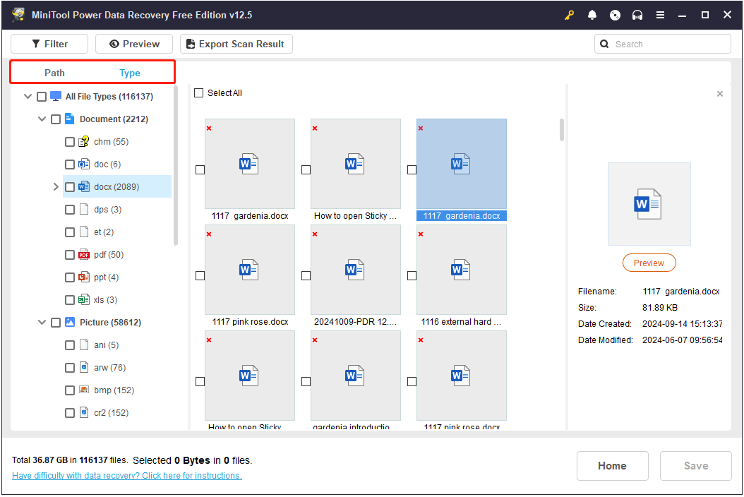 view files by file path and file type in MiniTool Power Data Recovery