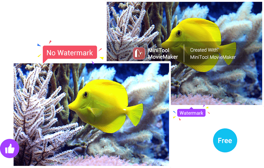 Export 4K/1080P Videos Without Watermark