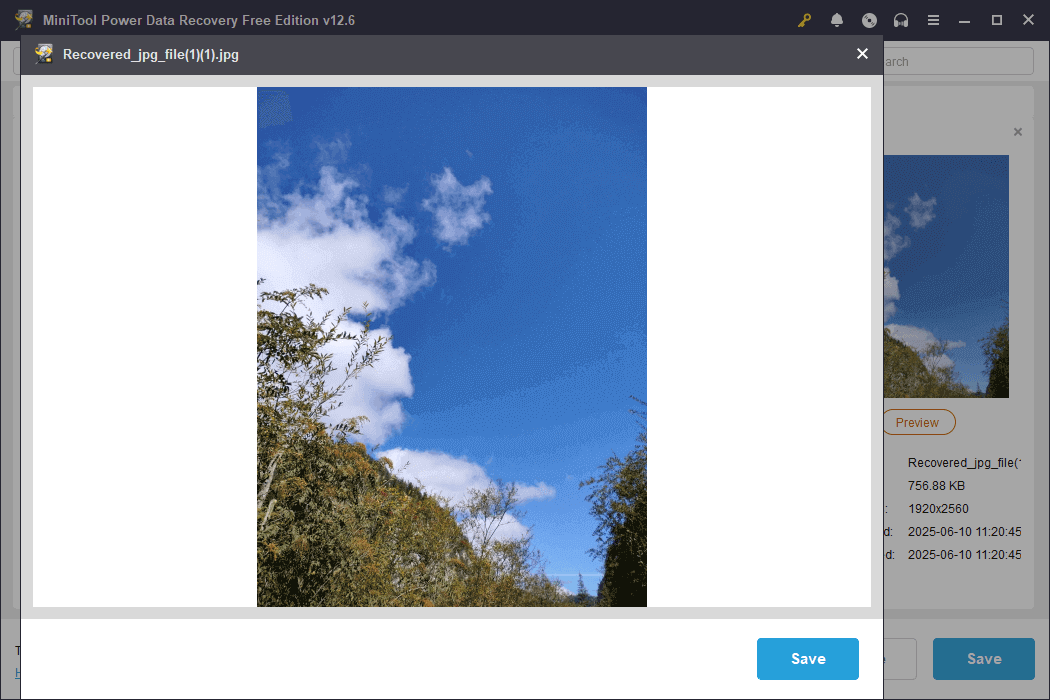 preview the photo using MiniTool Power Data Recovery