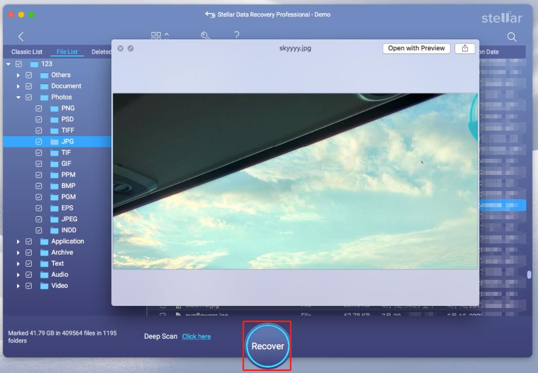 preview and recover files in Stellar Data Recovery for Mac