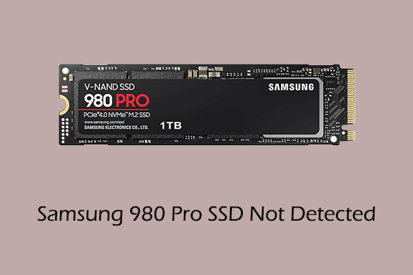 Samsung 980 Pro SSD Not Detected: Cases & Solutions Breakdown