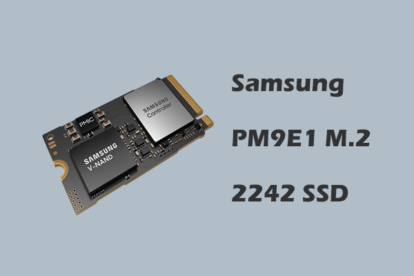 A Comprehensive Guide on Samsung PM9E1 PCIe Gen5 SSD for AI PCs