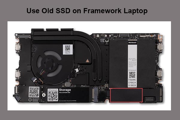 Learn How to Use Old SSD on Framework Laptop Effectively